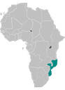 Mozambique  