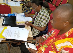 DRC Data Use Assessment Participants 
