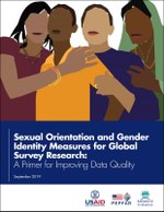 Sexual Orientation and Gender Identity Measures for Global Survey Research: A Primer for Improving Data Quality