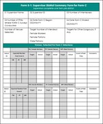 PLACE Form 3-1: Supervisor District Summary Form for Form C